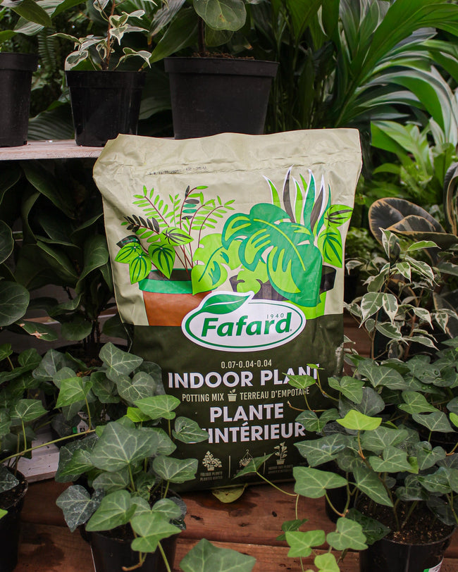Sac de terreau pour plantes d’intérieur Fafard conçu pour la culture des plantes en pot à l’intérieur
