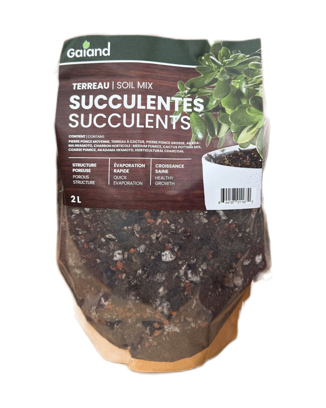 Sac de terreau pour succulentes Gaïand 2 L présenté en serre avec différentes plantes grasses en pots