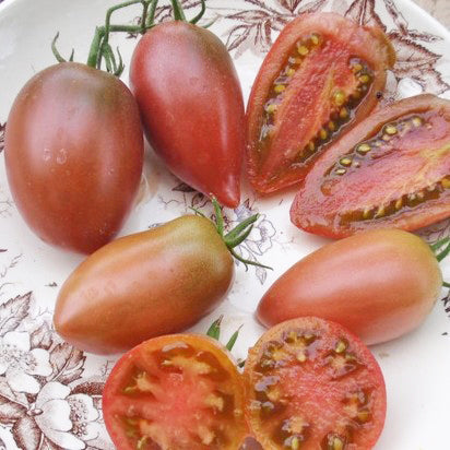 Tomate Italienne 'Ukrainian Purple' bio
