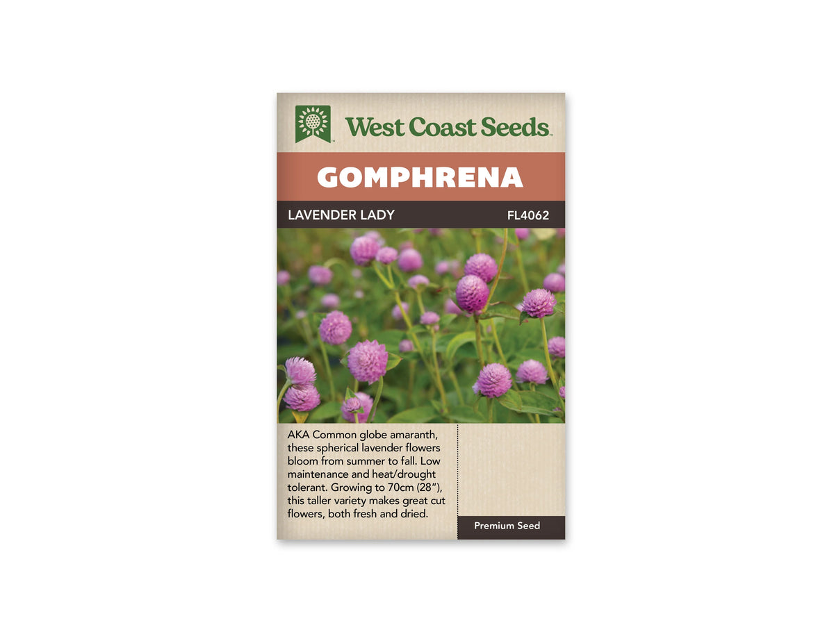 Sachet Lavender Lady de West Coast Seeds sur fond blanc. La photo présente de nombreuses têtes rondes rose lavande sur de fines tiges vertes, parmi des feuilles allongées. Certaines fleurs sont nettes au premier plan et d’autres floues derrière. Le bandeau orange indique Gomphrena; la bande brune porte Lavender Lady et le code FL4062.