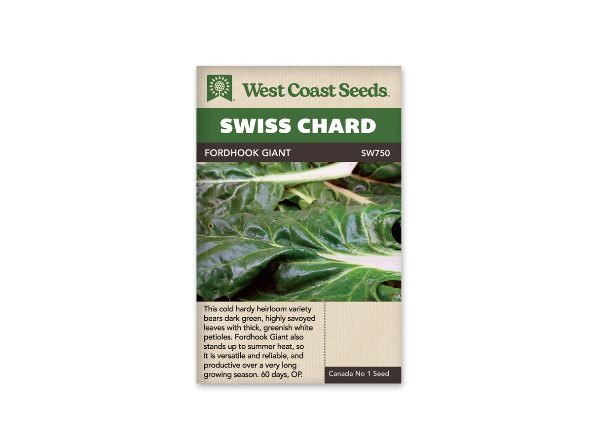 Sachet West Coast Seeds Fordhook Giant montrant de grandes feuilles vert foncé gaufrées. De larges nervures et cardes blanc verdâtre traversent le feuillage lustré, avec quelques marques naturelles visibles sur les feuilles. La photo occupe le centre du sachet. Le nom Fordhook Giant est placé dans le bandeau brun sous le titre Swiss Chard.