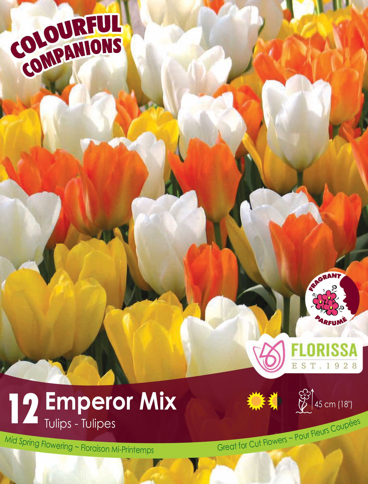 Harmonie florale Emperor Tulip Mix ( Tulipa spp.) : des tulipes blanches, jaunes et orange aux pétales lisses. Le visuel Florissa présente la plante et son nom dans la partie inférieure de l’étiquette. La photographie occupe presque toute la surface, tandis que le bandeau du bas rassemble les indications du produit. Cette vue permet de reconnaître son apparence et de distinguer la variété présentée.
