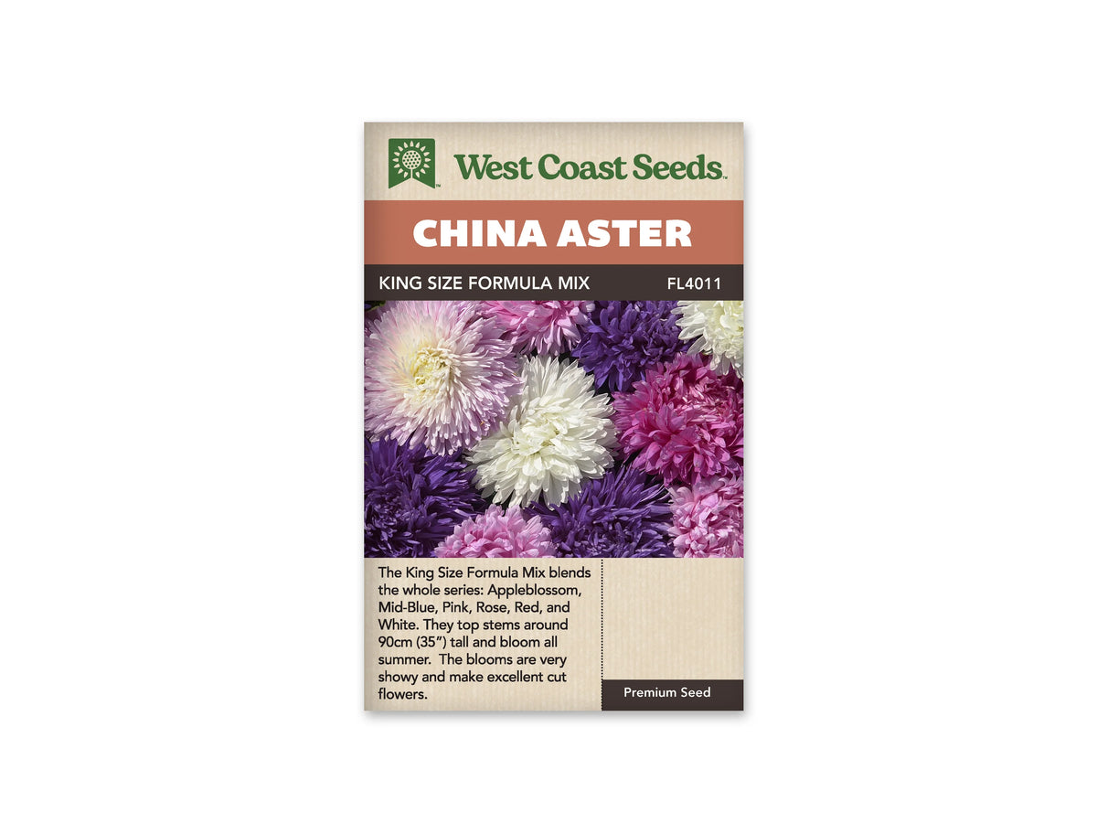 Sachet King Size Formula Mix de West Coast Seeds sur fond blanc. La photo présente un groupe de grandes fleurs blanches, roses et bleu violet, aux nombreux pétales courbés. Des feuilles vertes apparaissent entre les têtes. Le bandeau orangé indique China Aster; King Size Formula Mix et la référence FL4011 se lisent dans la bande brune.