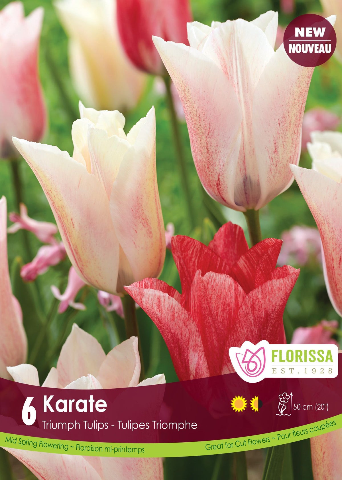 Tulipe Karate ( Tulipa ) : des tulipes blanc crème légèrement teintées de rose. Le visuel Florissa présente la plante et son nom dans la partie inférieure de l’étiquette. La photographie occupe presque toute la surface, tandis que le bandeau du bas rassemble les indications du produit. Cette vue permet de reconnaître son apparence et de distinguer la variété présentée.