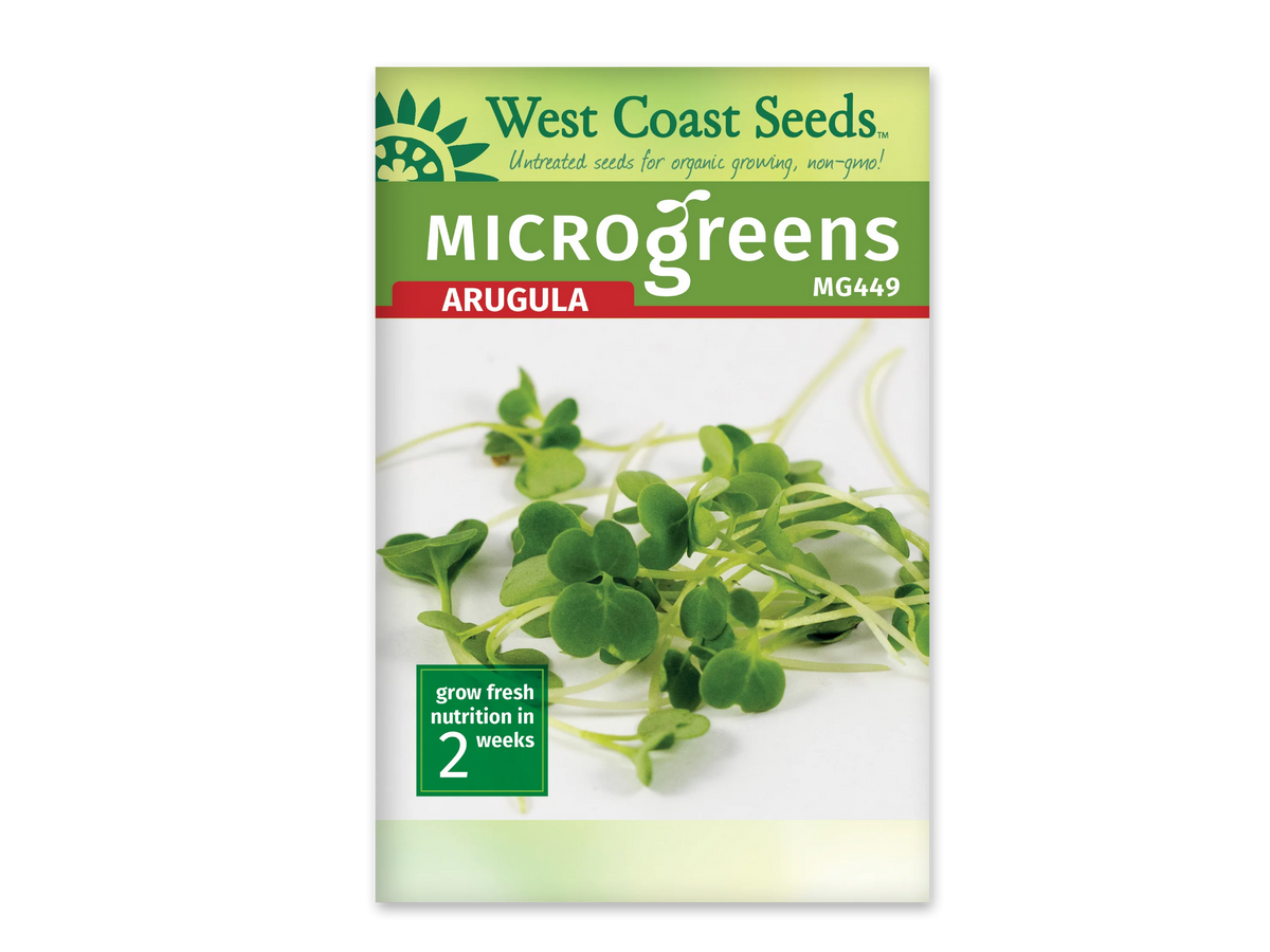 Sachet blanc West Coast Seeds pour micropousses de roquette, avec un bandeau vert et le nom anglais Arugula en rouge. La photo centrale montre de petites feuilles vertes arrondies sur de fines tiges pâles, devant un fond blanc. Le code MG449 figure près du titre. Un encadré vert au bas du sachet indique deux semaines.