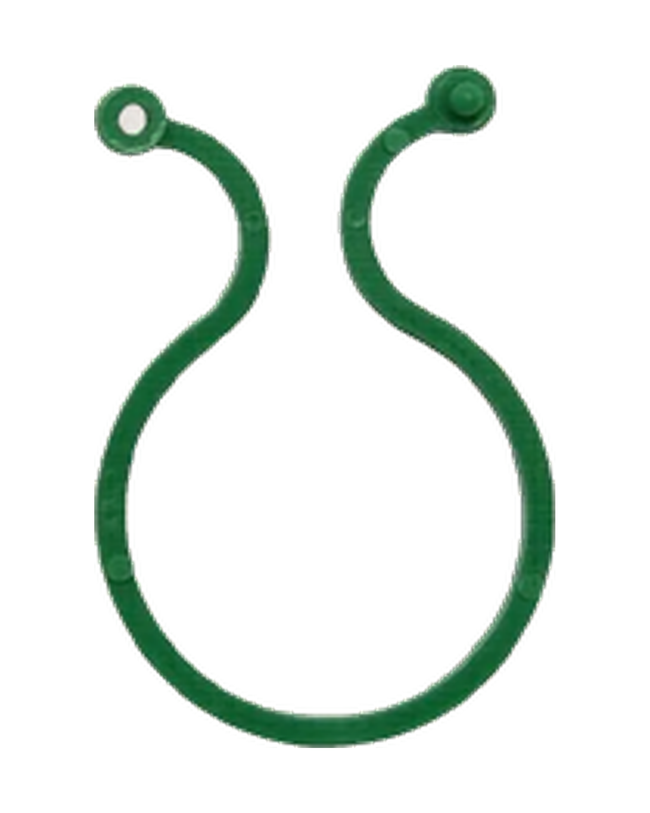 50 attaches souples pour plantes vertes – 2.5 cm – Jardin et intérieur — photo sur fond blanc