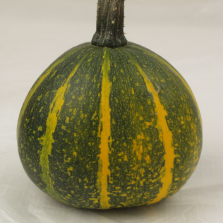 Photograph of a mature organic 'Kakai' pumpkin, showing a slightly flattened yellow-orange fruit mottled dark green to black beside large green seeds without a thick hull. The dry stem and firm rind indicate harvest readiness. Fruit weight, shape, mottling pattern, and colour may vary with pollination, light, soil, watering, fertility, growing conditions, and harvest timing.
