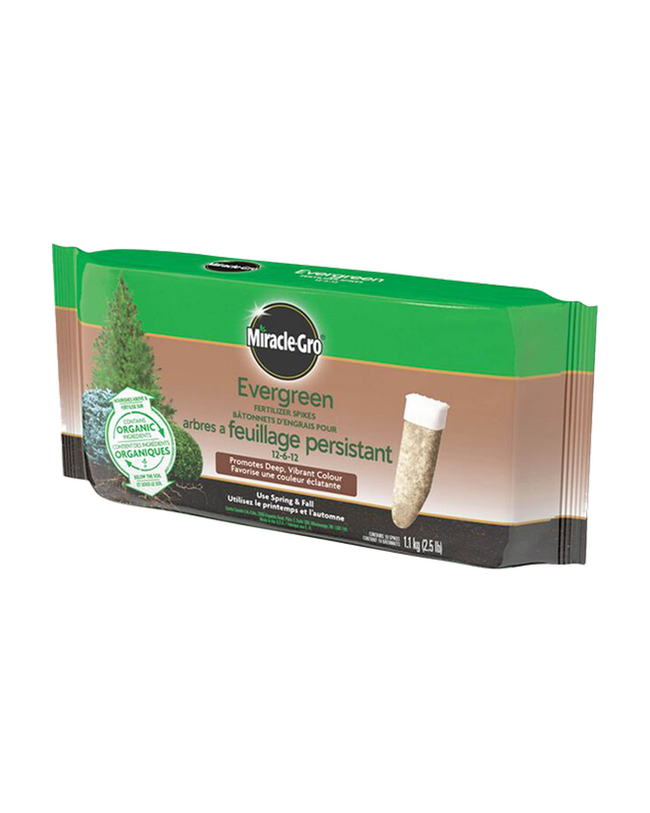 Bâtonnets d’engrais Miracle-Gro® 12-6-12 pour conifères