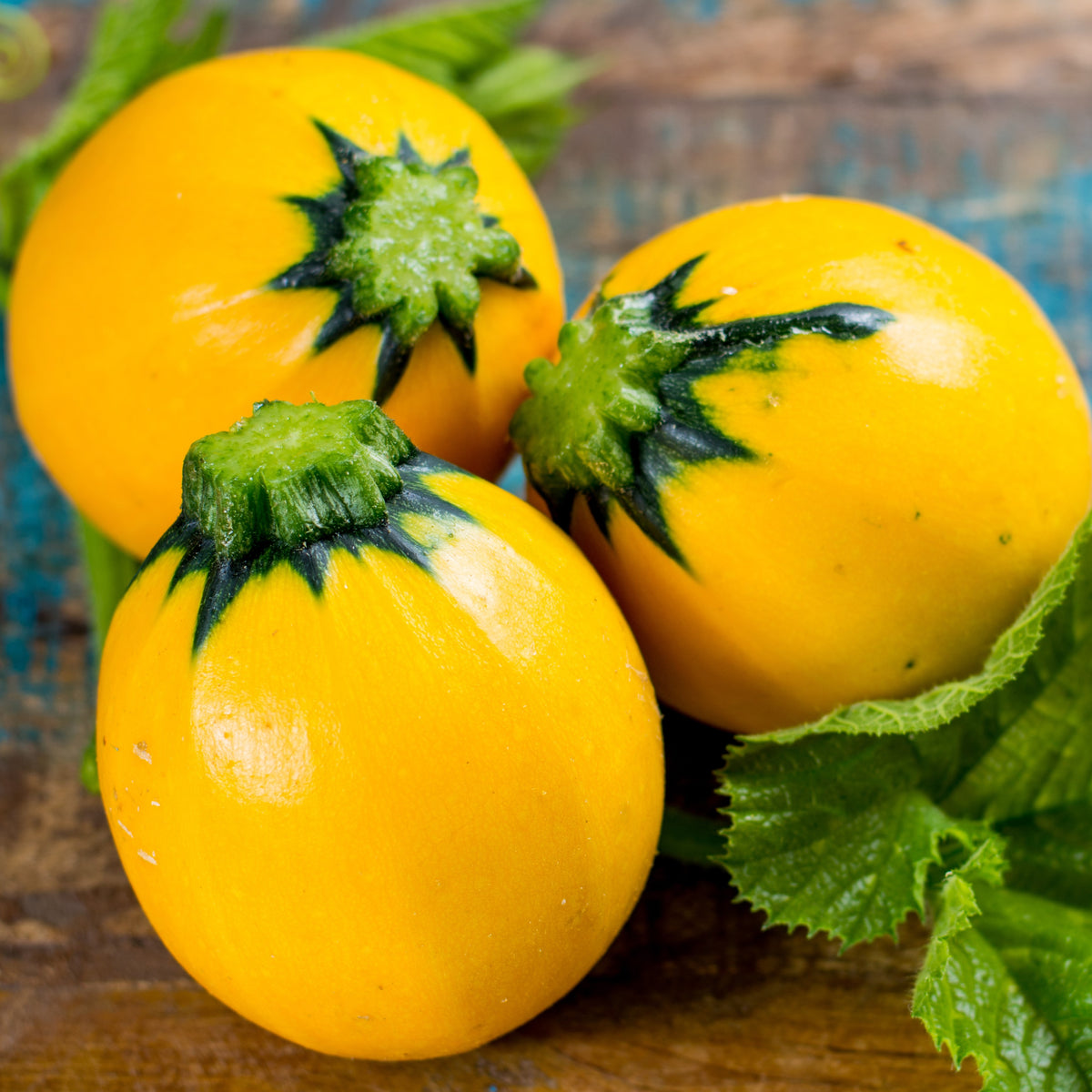 Photo de Zucchini rond 'One Ball' jaune F1. La couleur caractéristique est : jaune vif. Les fruits présentent cette forme : ronde. Le visuel permet d'observer les contours, les teintes et la disposition des éléments présentés. Les détails de forme et les contrastes donnent un aperçu de l'apparence de cette plante ou de sa récolte.