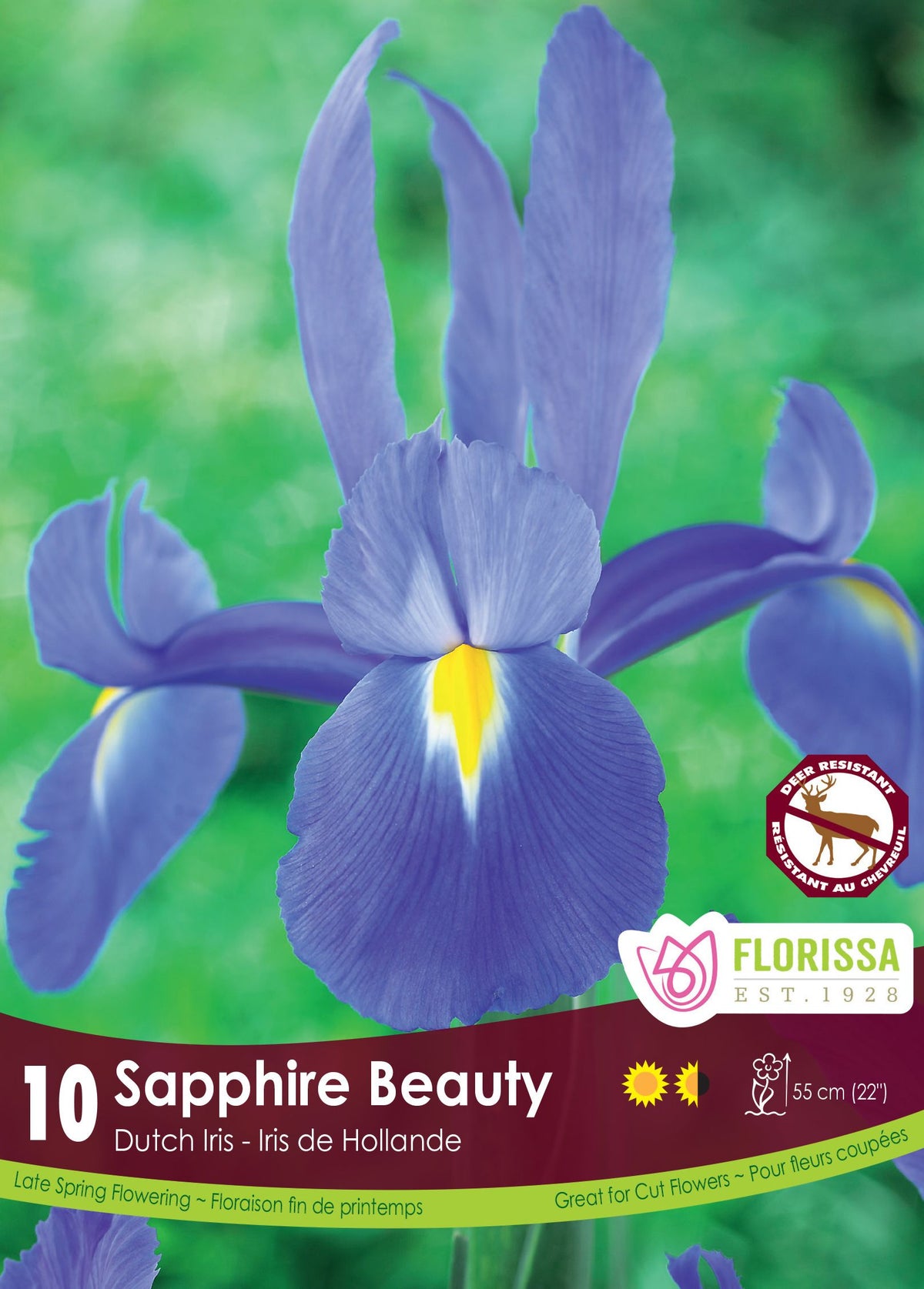 Iris hollandais ‘Sapphire Beauty’ ( Iris × hollandica ) : un iris bleu à marque jaune sur les sépales. Le visuel Florissa présente la plante et son nom dans la partie inférieure de l’étiquette. La photographie occupe presque toute la surface, tandis que le bandeau du bas rassemble les indications du produit. Cette vue permet de reconnaître son apparence et de distinguer la variété présentée.