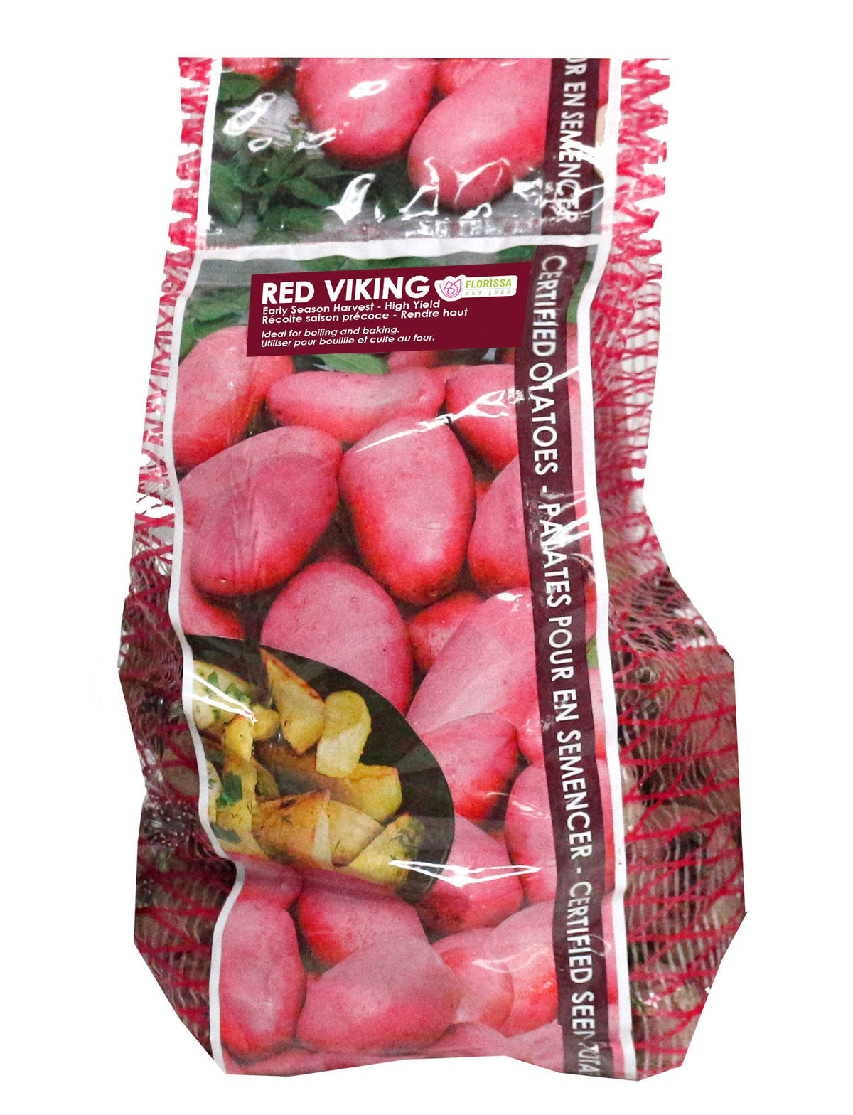 Pomme de terre ‘Red Viking’ ( Solanum tuberosum ) : un sachet vertical illustré de pommes de terre rouges. La présentation montre l’emballage avec une illustration du produit et son nom imprimé sur l’étiquette. Les informations sont regroupées sur la face visible, tandis que la photographie met en évidence le contenu ou la plante illustrée. Cette vue vous aide à reconnaître le produit présenté et son conditionnement.