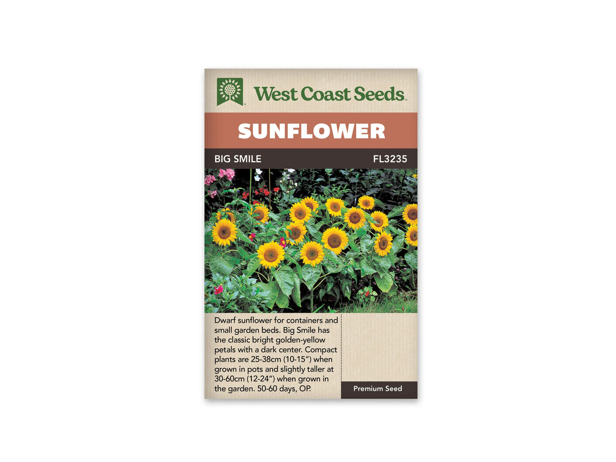 Sachet beige de semences Big Smile avec bandeau terre cuite et nom sur fond brun. Un groupe de petits tournesols jaunes à centre brun pousse au premier plan d'une bordure. Les fleurs sont portées à différentes hauteurs au-dessus de larges feuilles vertes. Des fleurs roses et rouges ainsi qu'une végétation plus sombre occupent le fond du jardin.