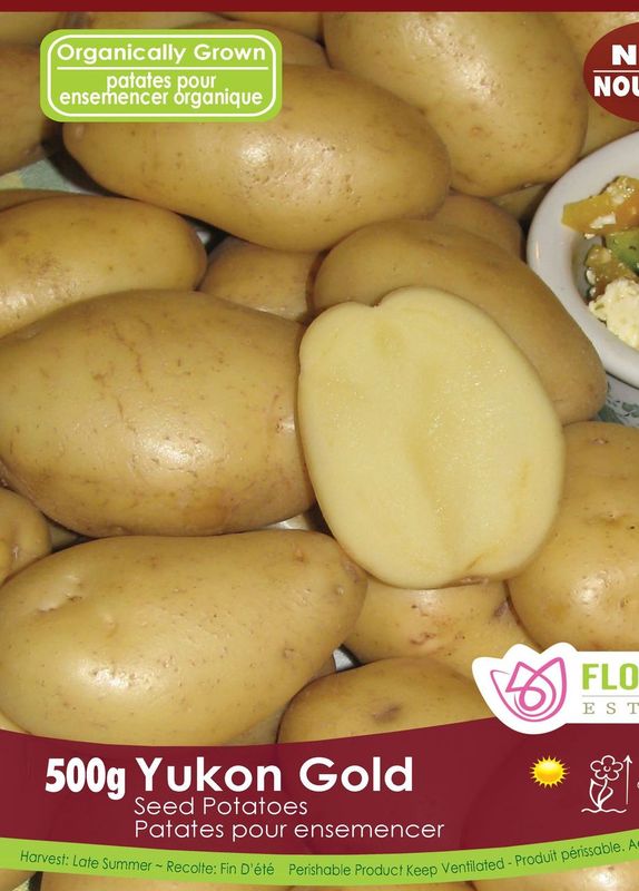 Pomme de terre ‘Yukon Gold’ BIO (500 g) ( Solanum tuberosum ) : des pommes de terre jaunes entières et coupées montrant leur chair. Le visuel Florissa présente la plante et son nom dans la partie inférieure de l’étiquette. La photographie occupe presque toute la surface, tandis que le bandeau du bas rassemble les indications du produit. Cette vue permet de reconnaître son apparence et de distinguer la variété présentée.