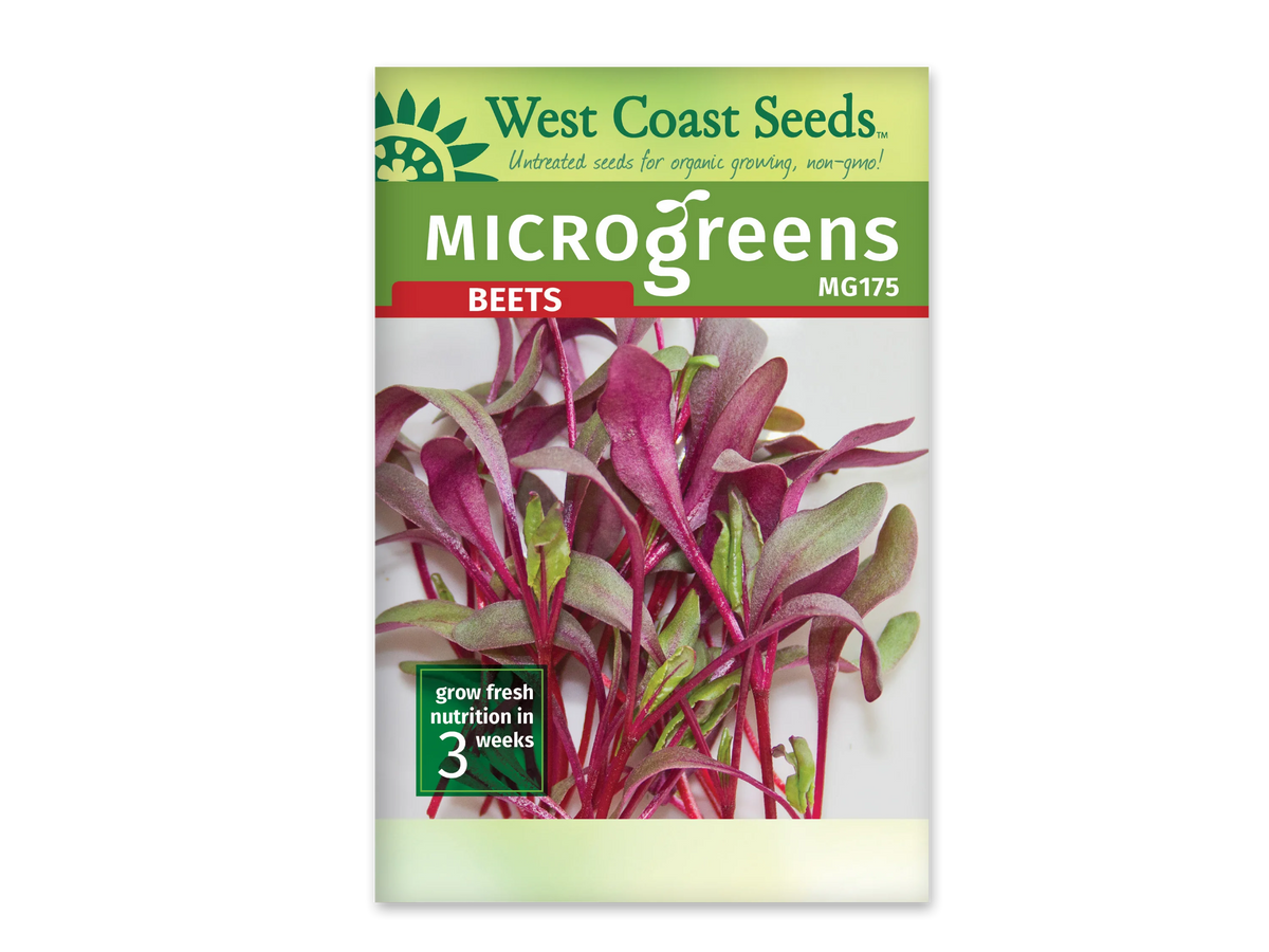 Sachet de semences pour micropousses de betterave West Coast Seeds, vu de face. Un haut vert présente la marque, le mot Microgreens et la référence MG175, suivi du bandeau rouge Beets. La photographie centrale montre des tiges magenta et des feuilles allongées mêlant vert et pourpre. Un encadré vert dans le coin inférieur gauche indique une culture de trois semaines.