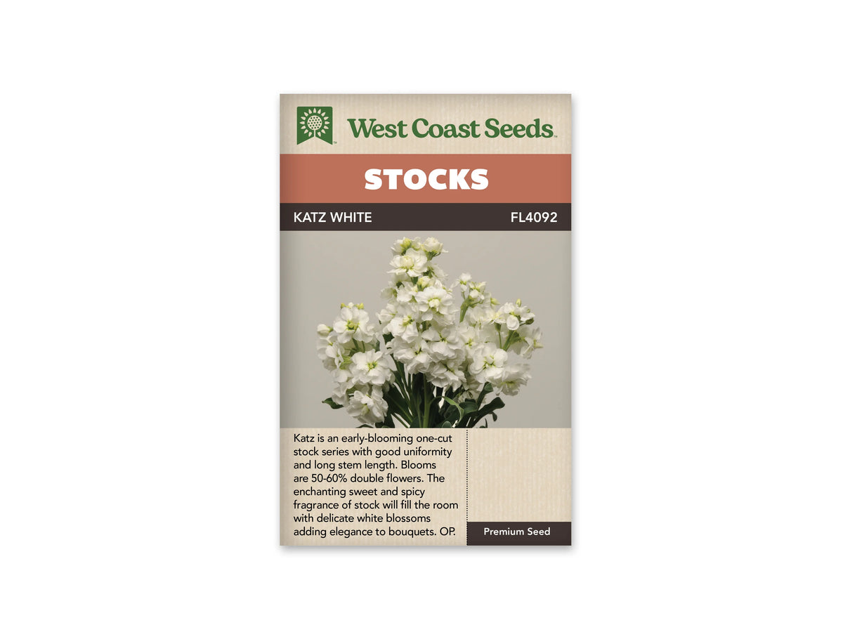 Le sachet de West Coast Seeds montre plusieurs épis de giroflées blanches sur un fond clair. Les fleurs ouvertes entourent des centres légèrement verdâtres, tandis que des boutons restent fermés au sommet. Des feuilles vert foncé et des tiges apparaissent sous les fleurs. Le nom Katz White et la référence FL4092 figurent dans le bandeau supérieur.