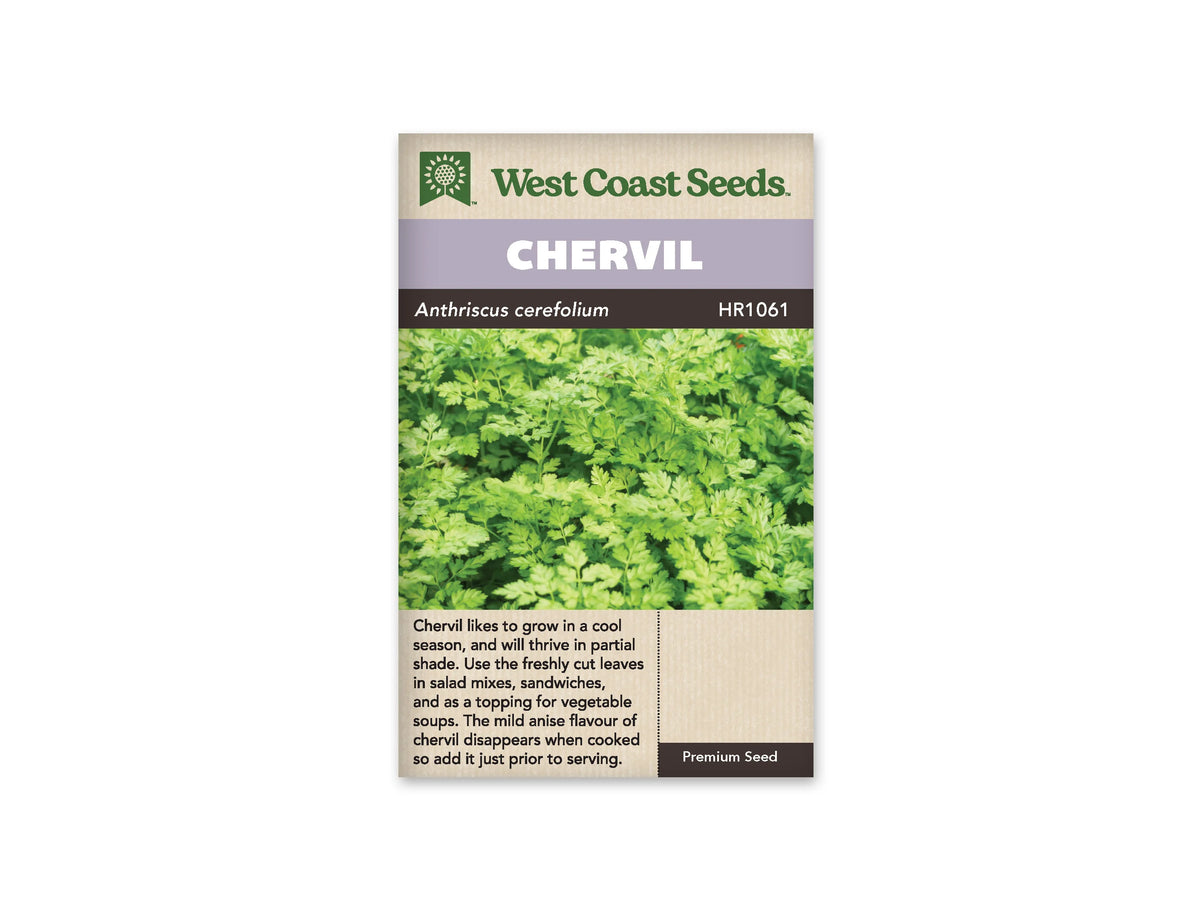 Sachet de cerfeuil West Coast Seeds vu de face sur fond blanc. La photo montre un feuillage vert clair, très découpé, qui occupe toute la partie centrale. Le bandeau mauve du haut porte le nom CHERVIL. Une ligne foncée sépare la photo de la zone beige du bas, où se trouve une description en anglais.