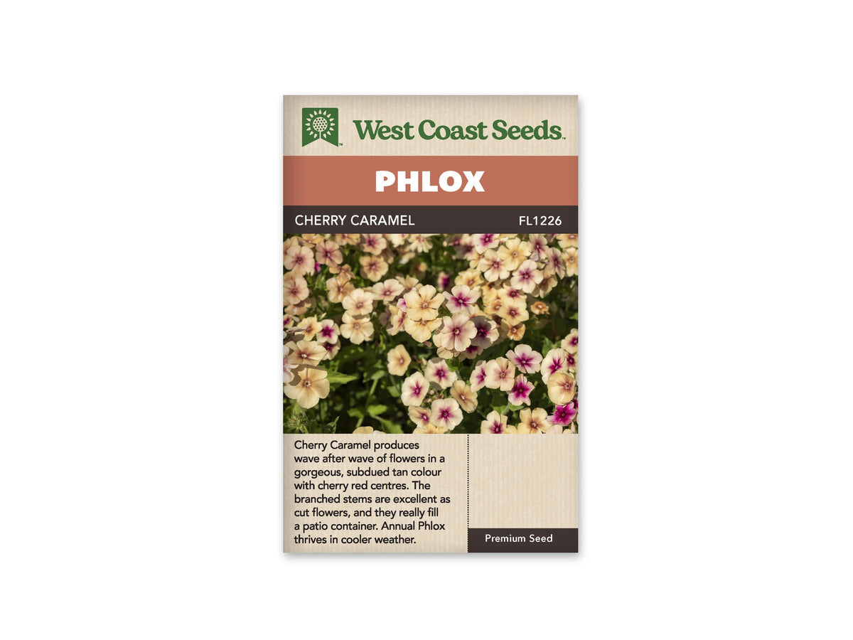Sachet Cherry Caramel de West Coast Seeds sur fond blanc. La photo montre de nombreuses petites fleurs crème et beige doré, dont plusieurs portent un centre rose foncé à rouge cerise. Les corolles à cinq lobes sont réunies en bouquets parmi des feuilles vertes. Le bandeau orange indique Phlox et la bande brune porte Cherry Caramel avec le code FL1226.