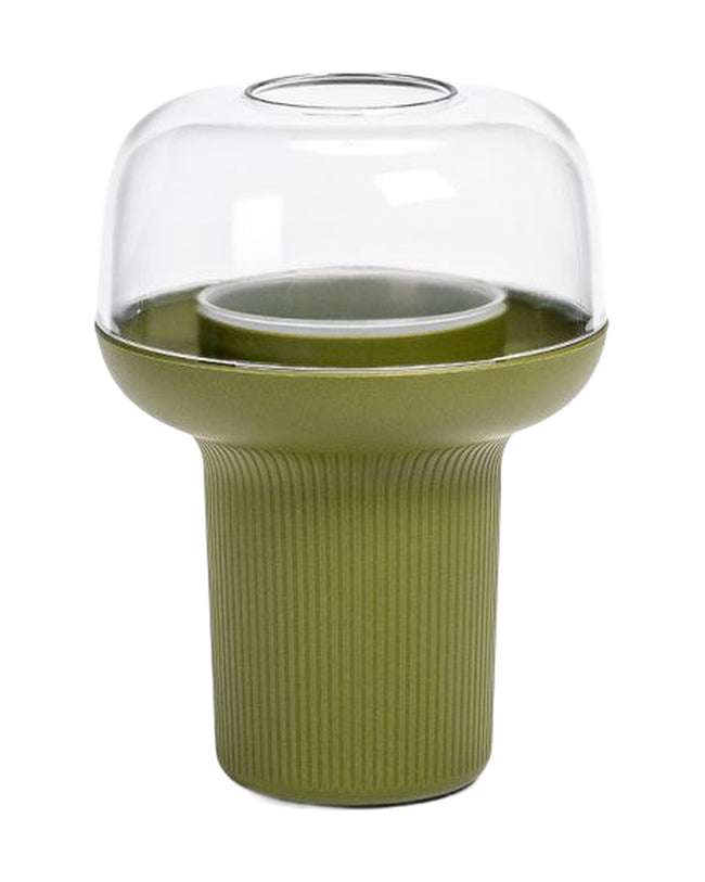 Humidarium pour plantes – Terrarium design moderne