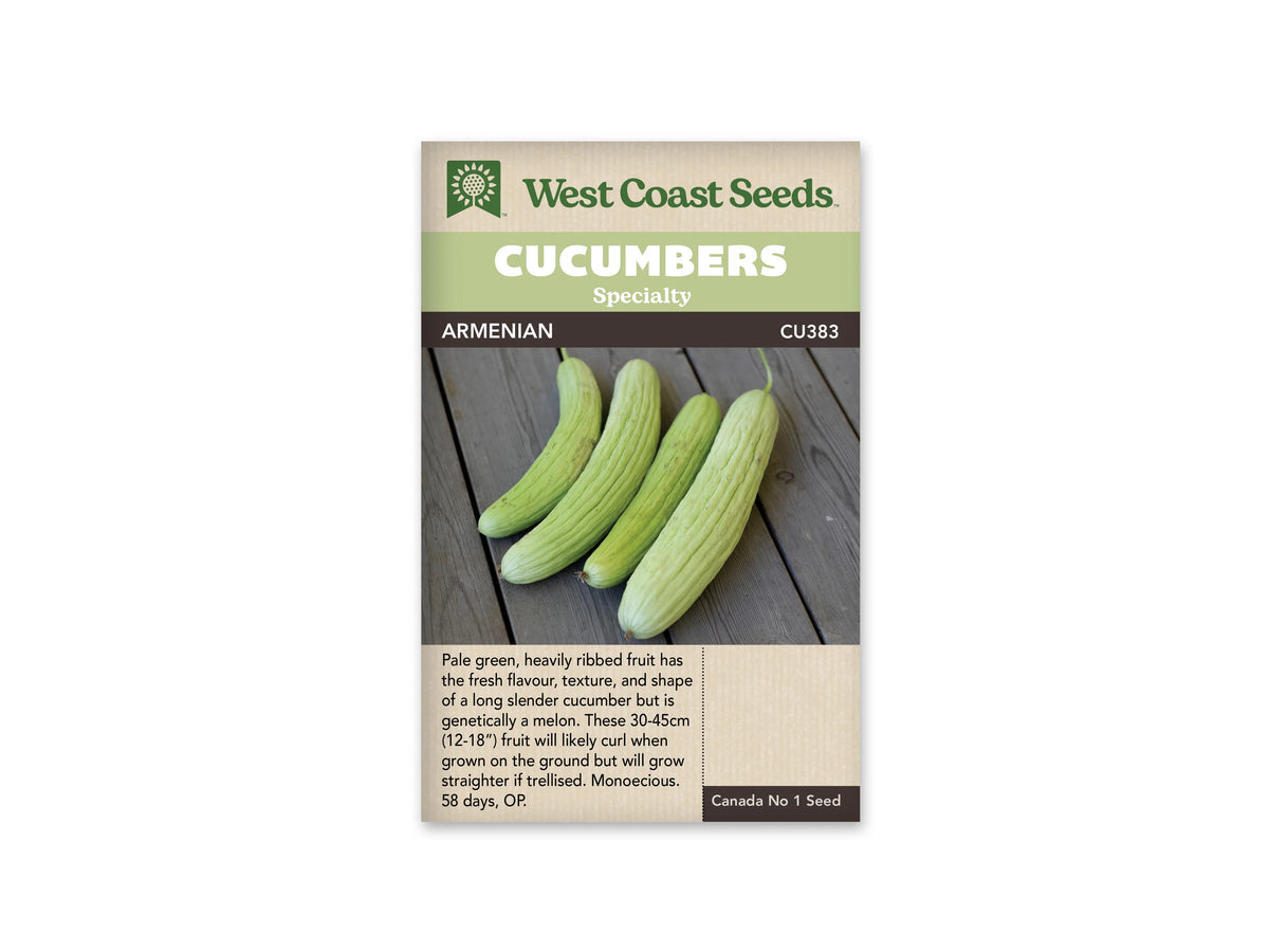 Sachet beige portant le nom Armenian sous une bande verte et une bande brune. La photographie montre quatre longs fruits vert pâle aux côtes très marquées, disposés côte à côte sur des planches de bois gris. Plusieurs fruits sont légèrement courbés et gardent leur pédoncule. Un texte descriptif anglais apparaît sous la photographie centrale.
