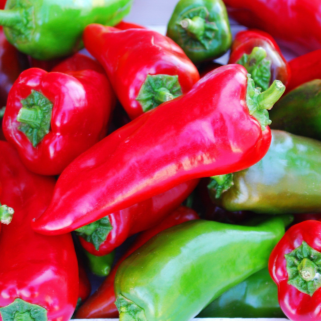 Poivron rouge italien 'Tolli's Sweet' bio