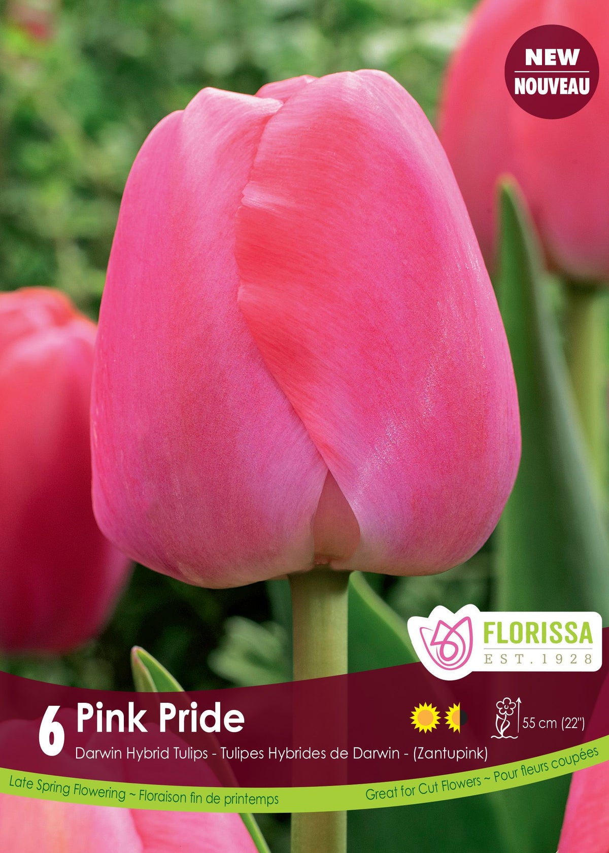 Tulipe Pink Pride ( Tulipa ) : une tulipe rose clair à base plus pâle. Le visuel Florissa présente la plante et son nom dans la partie inférieure de l’étiquette. La photographie occupe presque toute la surface, tandis que le bandeau du bas rassemble les indications du produit. Cette vue permet de reconnaître son apparence et de distinguer la variété présentée.