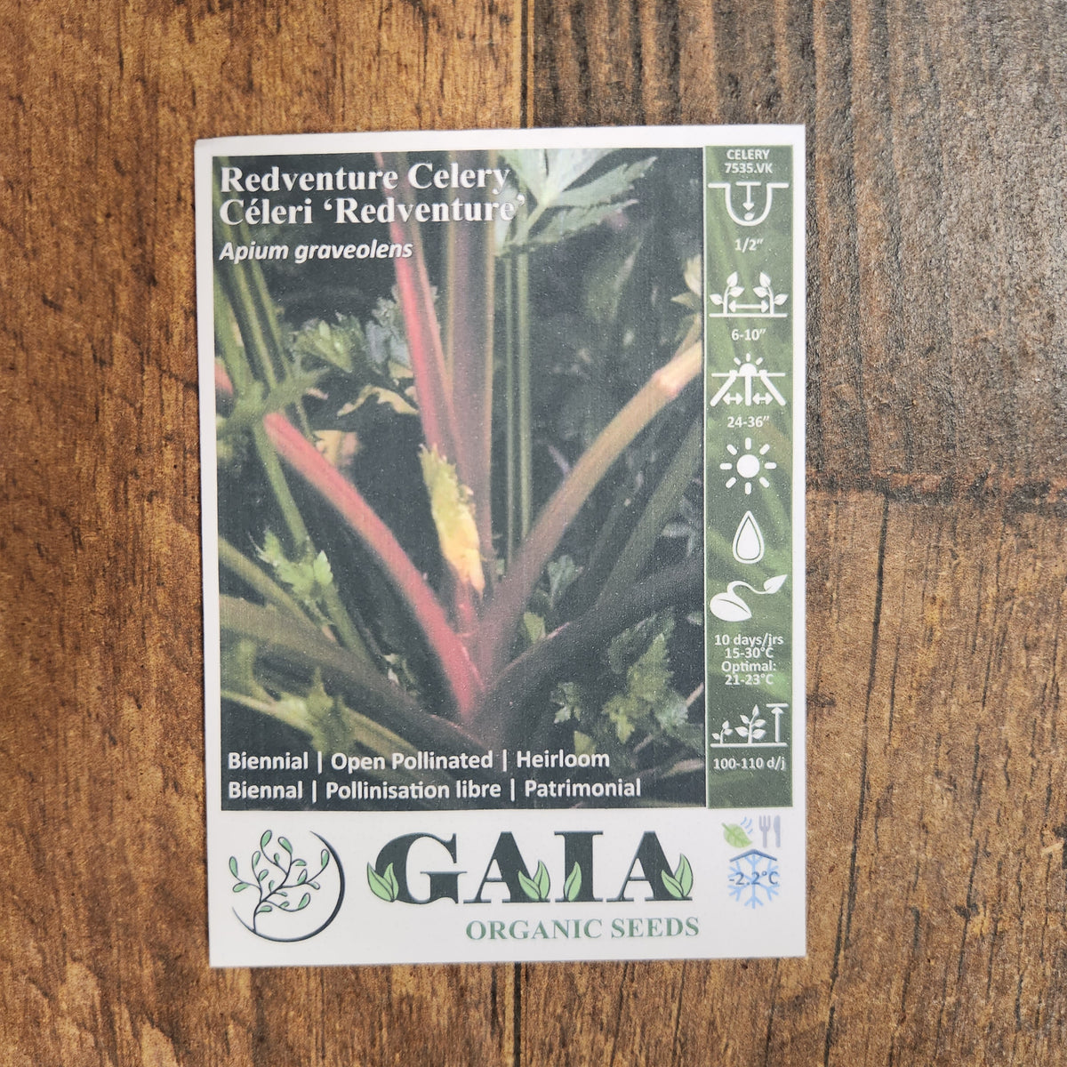 Celery 'Redventure' organic