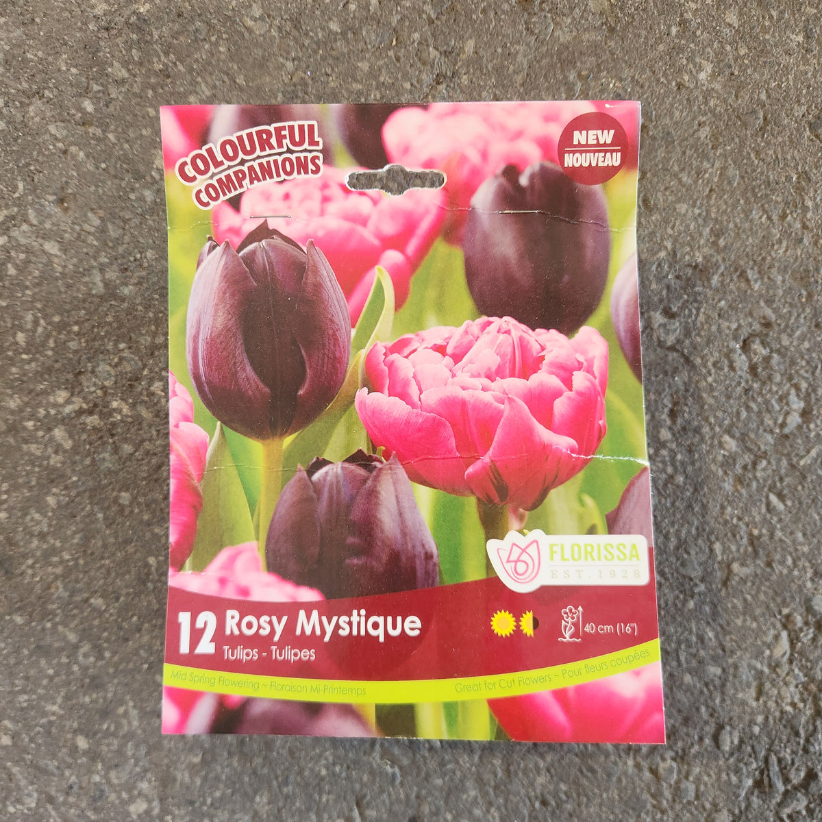 Harmonie florale Rosy Mystique ( Tulipa spp.) : un sachet posé sur le sol et illustré de tulipes doubles roses et de tulipes sombres. La présentation montre l’emballage avec une illustration du produit et son nom imprimé sur l’étiquette. Les informations sont regroupées sur la face visible, tandis que la photographie met en évidence le contenu ou la plante illustrée. Cette vue vous aide à reconnaître le produit présenté et son conditionnement.