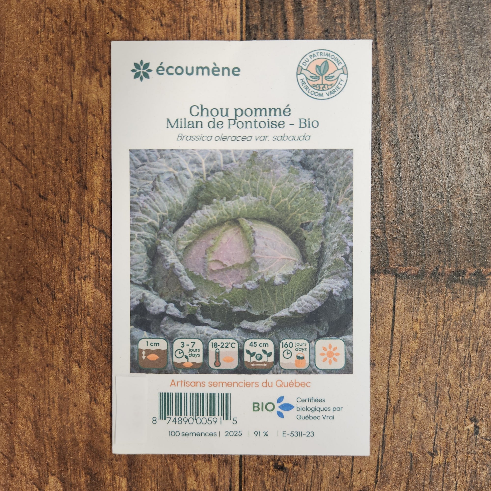 Organic red cabbage 'Milan de Pontoise'