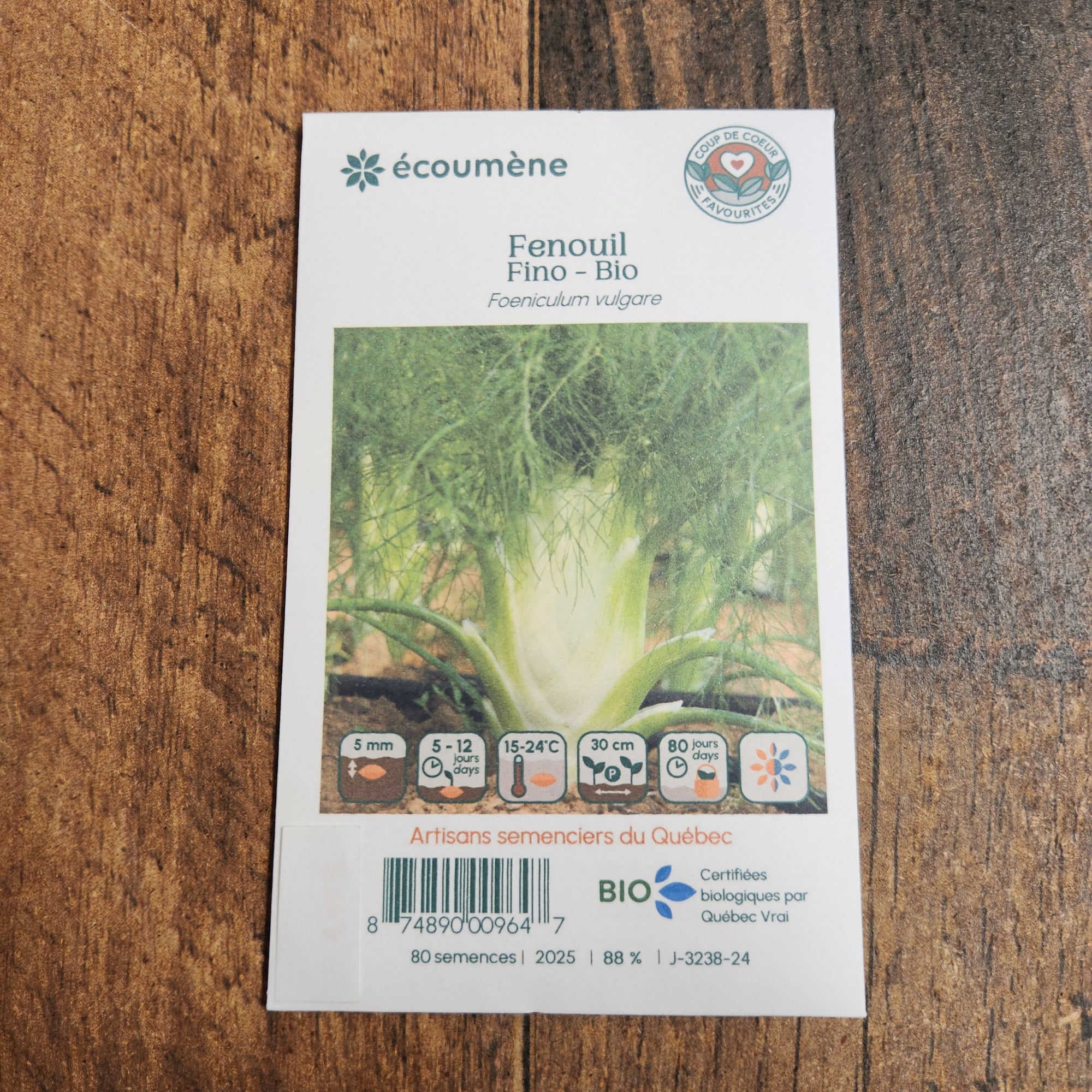 Fenouil 'Fino' bio