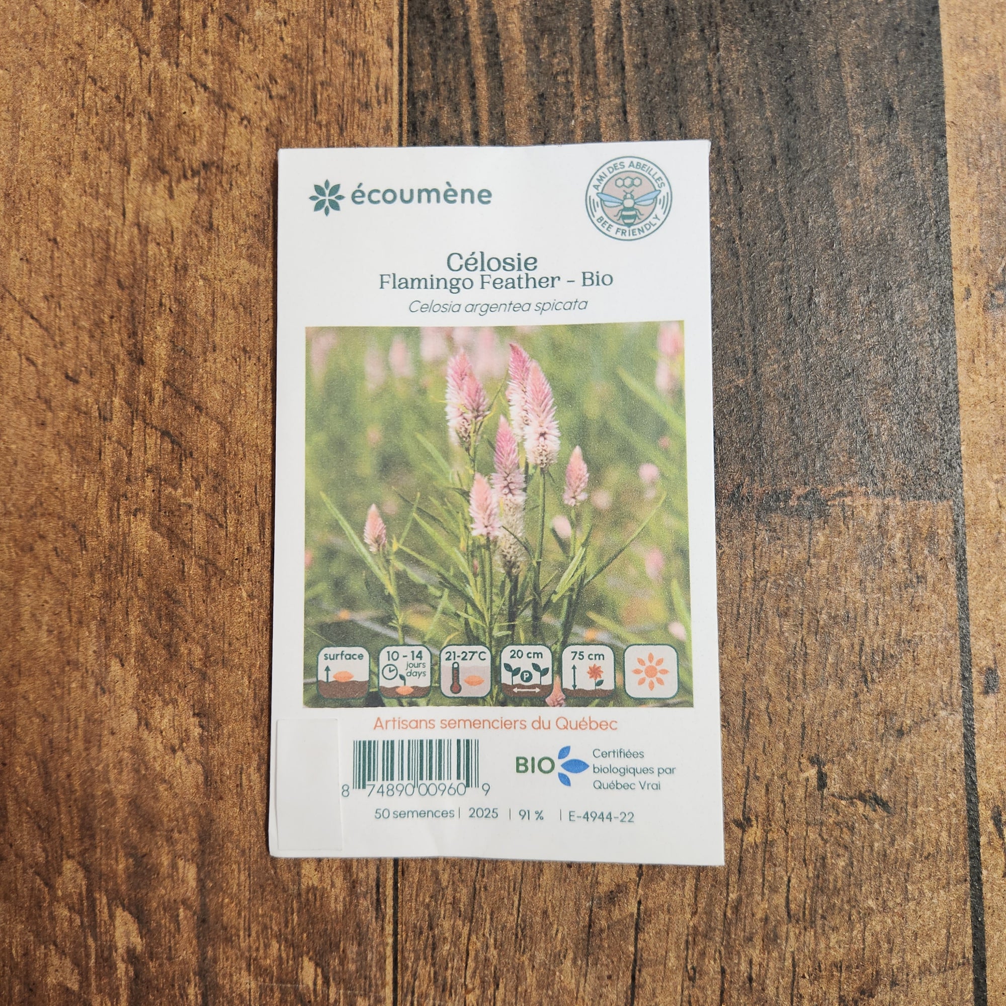 Celosia Flamingo Feather – Organic