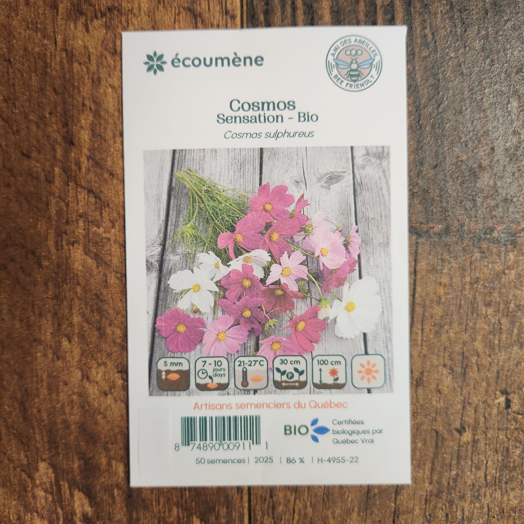 Cosmos 'Sensation' organic