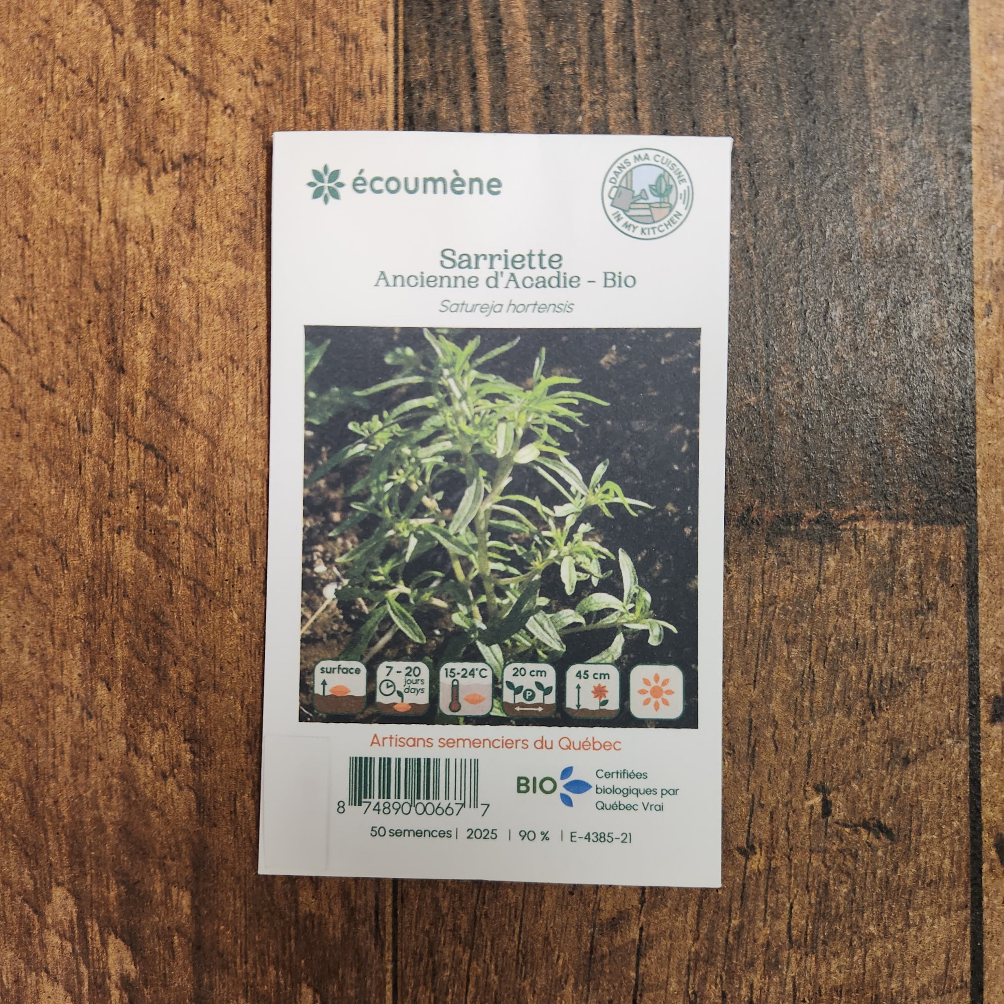 Organic old savory 'D'Acadie'