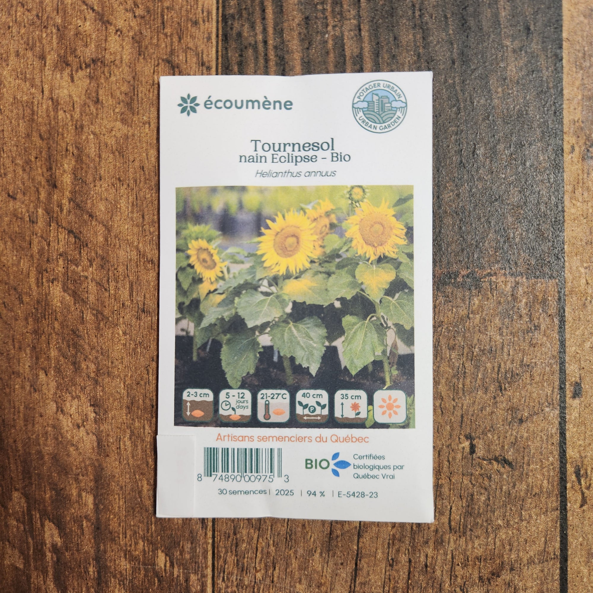 Tournesol nain 'Éclipse' bio