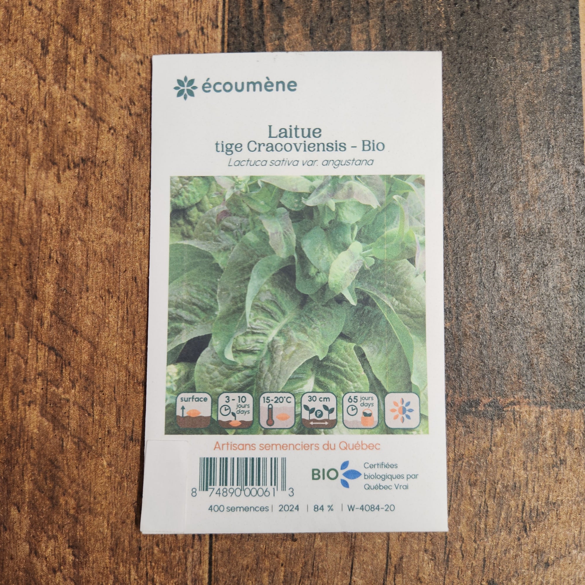 Organic Asparagus Stem Lettuce 'Cracoviensis'