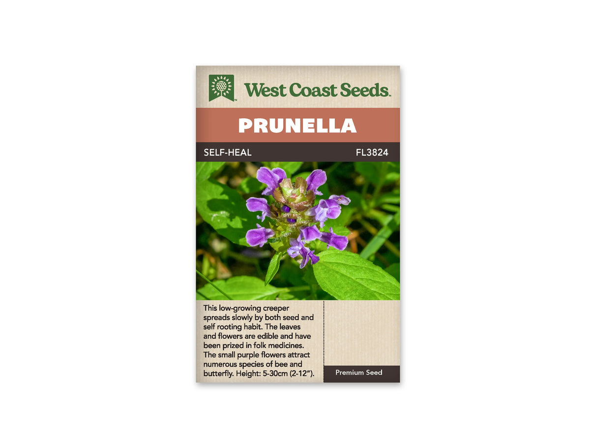 Le sachet West Coast Seeds montre un épi court de brunelle portant de petites fleurs violettes. Les corolles tubulaires sortent entre des bractées vertes et brunâtres disposées autour de la tige. Deux feuilles vertes nervurées apparaissent près de l'épi sur un fond de végétation flou. Le bandeau indique Self-Heal et la référence FL3824.