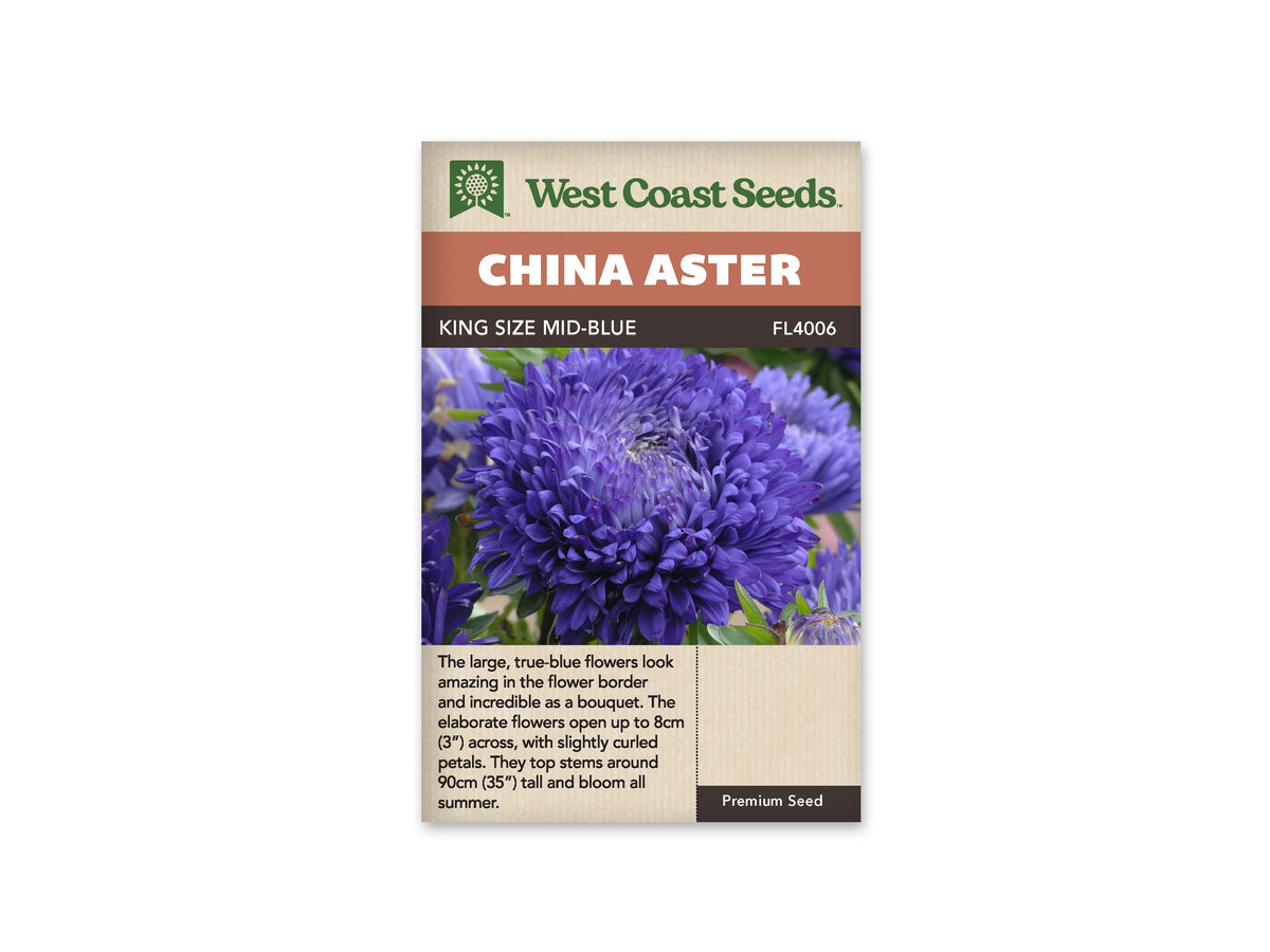 Sachet King Size Mid-Blue de West Coast Seeds sur fond blanc. La photo montre une grande fleur bleu violet, formée de nombreux pétales, avec un centre plus clair. Des feuilles vertes et un bouton floral apparaissent autour. Le bandeau orangé indique China Aster; le nom King Size Mid-Blue et la référence FL4006 sont visibles plus bas.