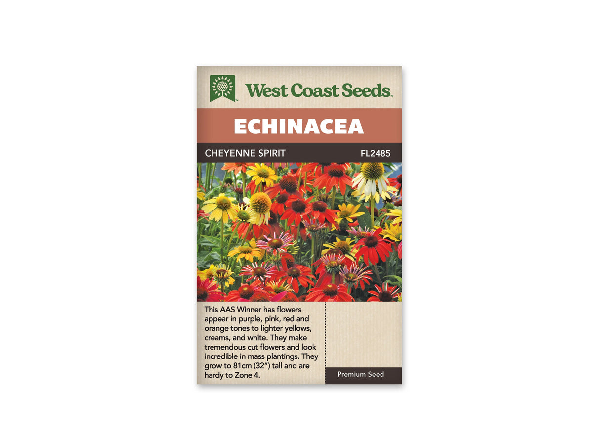 Sachet Cheyenne Spirit de West Coast Seeds sur fond blanc. La photo montre un groupe de fleurs rouges, orange, jaunes, crème et roses à cônes saillants, parmi des tiges et des feuilles vertes. Le bandeau orangé indique Echinacea. La bande brune porte Cheyenne Spirit et le code FL2485, au-dessus de la photo.