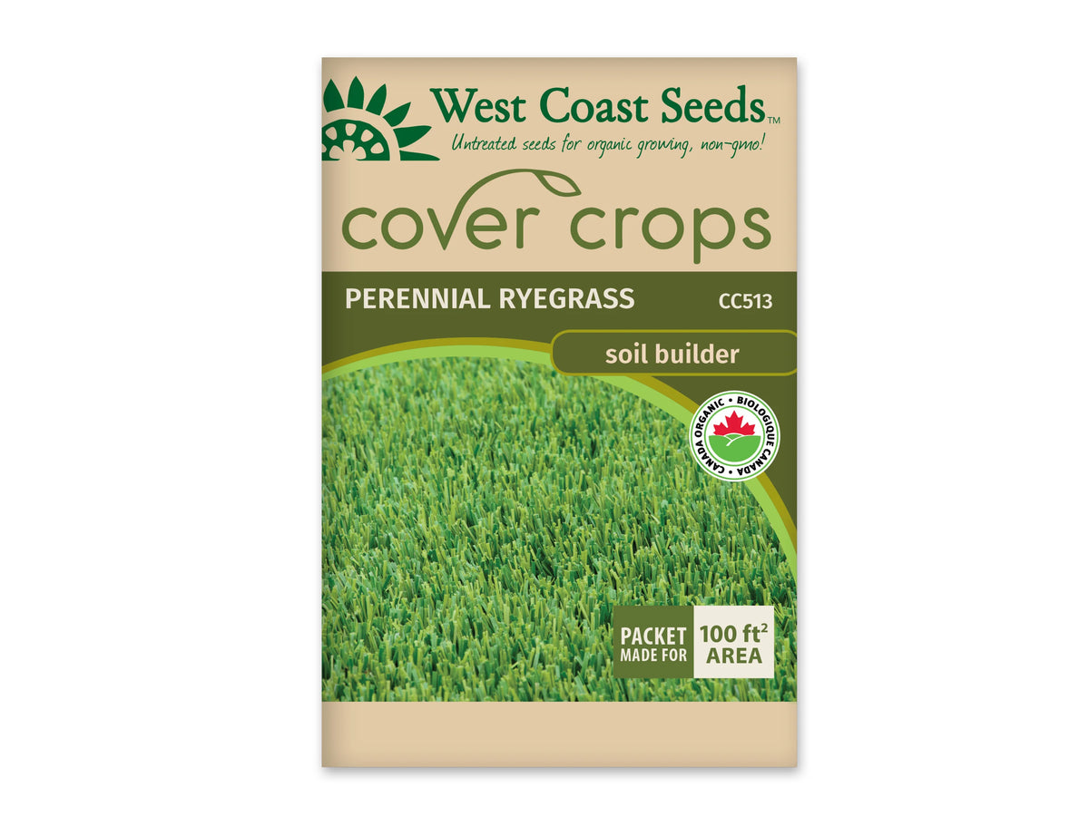 Sachet beige et vert West Coast Seeds de la gamme Cover Crops, portant le nom Perennial Ryegrass et le code CC513. La photo centrale montre un tapis dense de feuilles de graminée vertes et coupées. Le logo biologique canadien apparaît à droite. Un encadré inférieur annonce une couverture de 100 pieds carrés sur ce sachet présenté sur fond blanc.