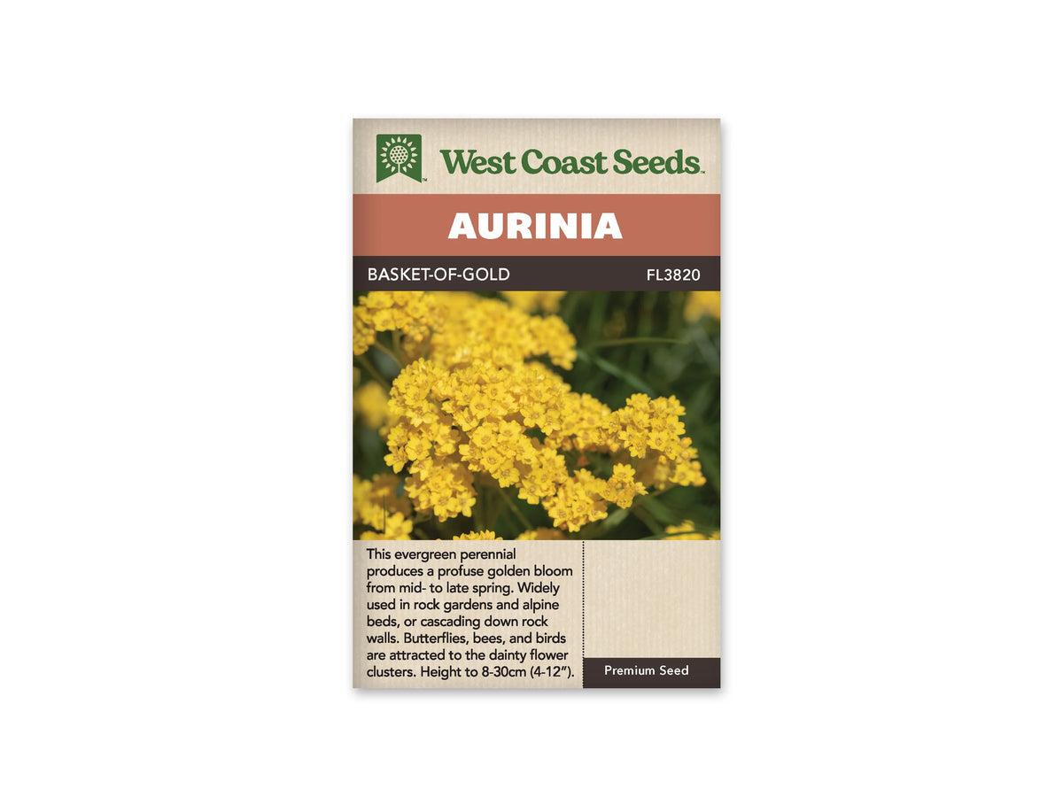 Sachet de corbeille d’or West Coast Seeds sur fond blanc. La photo centrale montre de nombreux petits bouquets de fleurs jaune vif, avec du feuillage vert en arrière-plan. Le mot Aurinia se lit sur le bandeau orangé. Le nom Basket-of-Gold et le code FL3820 figurent dans la bande brune, au-dessus de la photo.