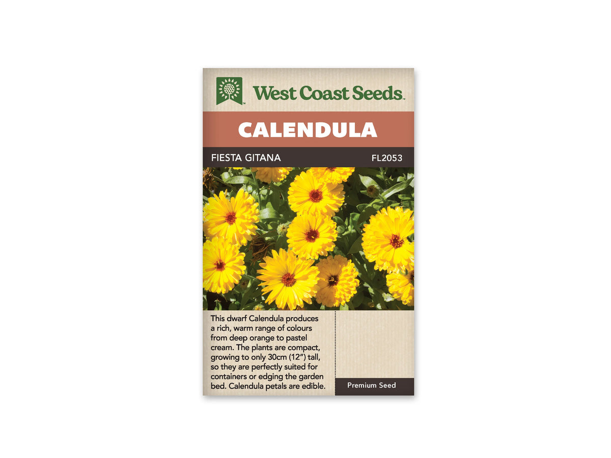 Sachet Fiesta Gitana de West Coast Seeds sur fond blanc. La photo montre plusieurs fleurs jaunes et dorées à centre brun rouge, avec des rangs de pétales serrés et du feuillage vert. Quelques boutons restent fermés. Le bandeau orangé porte le mot Calendula et le code FL2053 figure à côté du nom Fiesta Gitana.