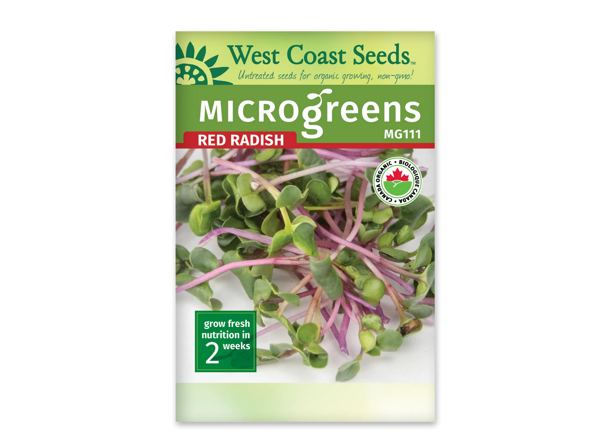 Sachet blanc West Coast Seeds pour micropousses de radis, portant le nom Red Radish en rouge sous un bandeau vert. La photographie montre de petites feuilles vertes et de longues tiges roses entremêlées. Le code MG111 apparaît en haut à droite. Le logo biologique canadien est visible près de la photo et le délai de deux semaines en bas.