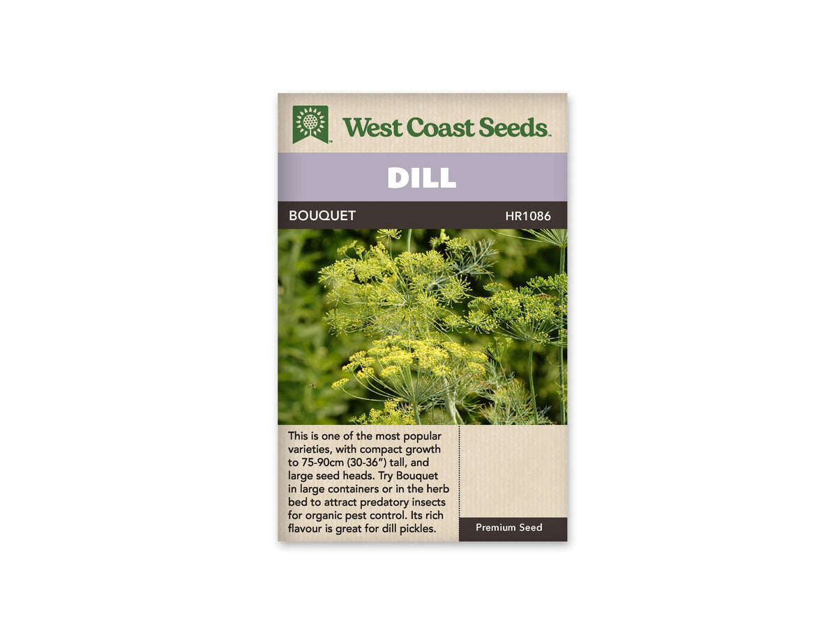 Sachet d’aneth Bouquet West Coast Seeds présenté de face sur fond blanc. La photographie montre plusieurs ombelles jaunes et vertes au milieu de feuilles fines et de tiges dressées. Le bandeau mauve porte le mot DILL, avec BOUQUET sur la bande foncée en dessous. La partie beige inférieure contient une description du produit en anglais.