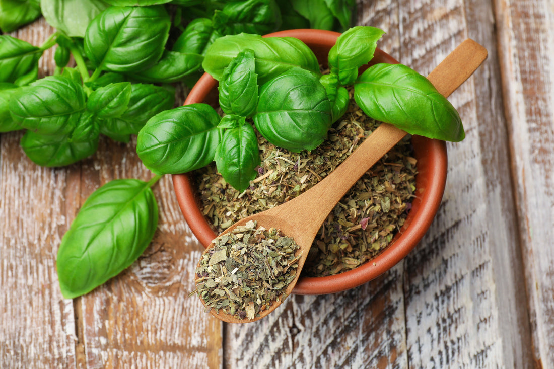 Basilic : comment récolter, conserver et cuisiner cette herbe incontournable