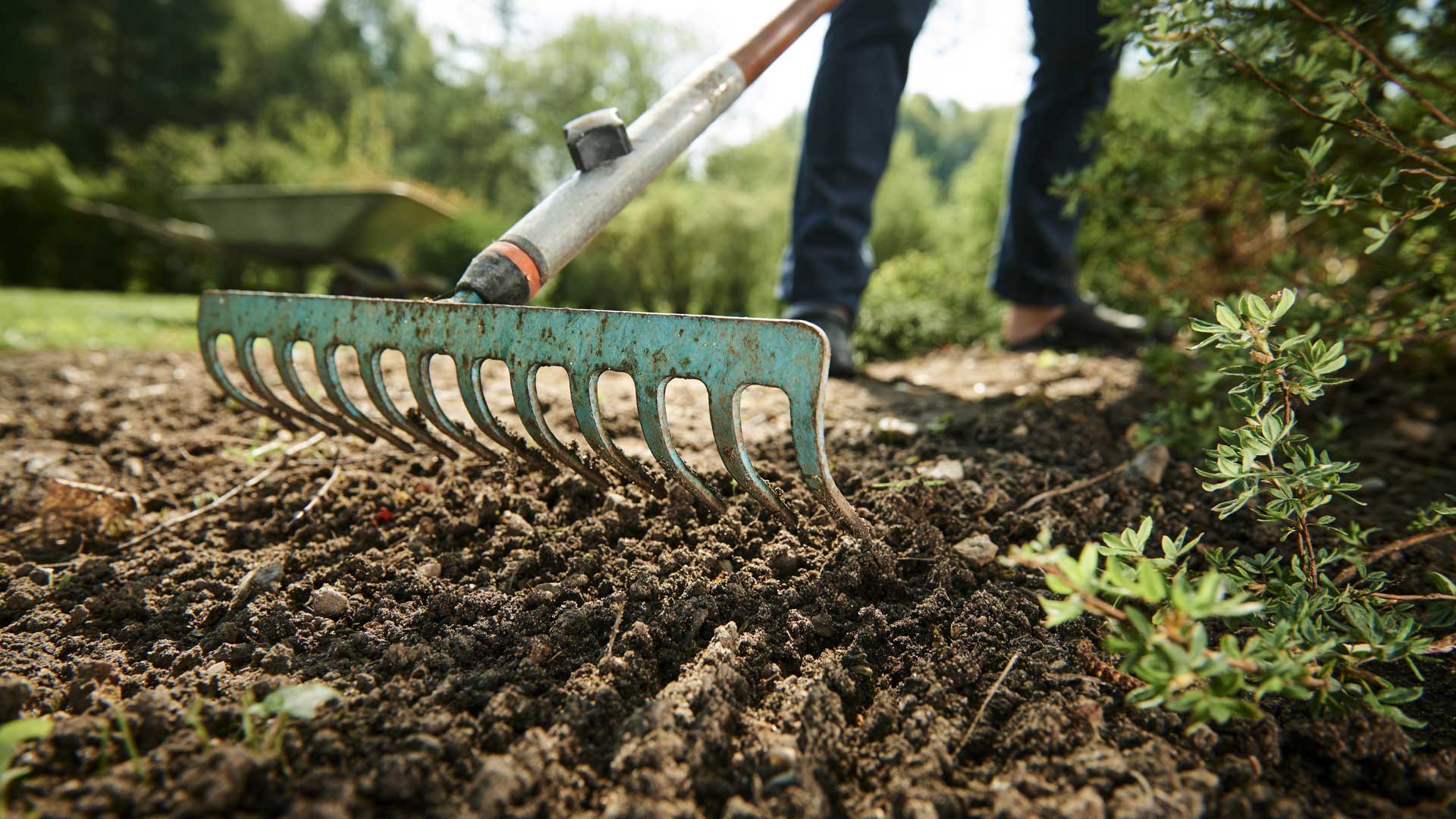 Bien préparer sa surface de plantation