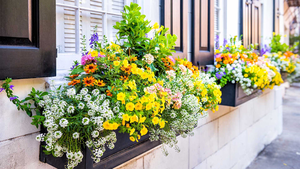 Beautiful planters all year round