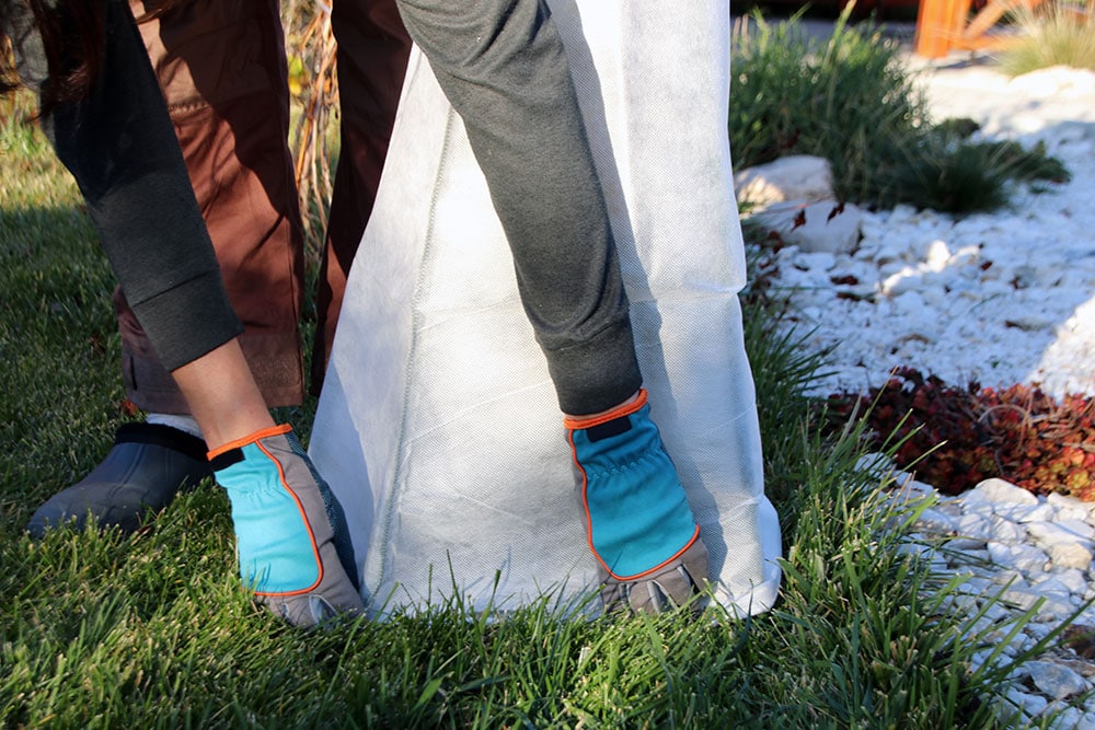 Les protections hivernales : quoi protéger et quand?