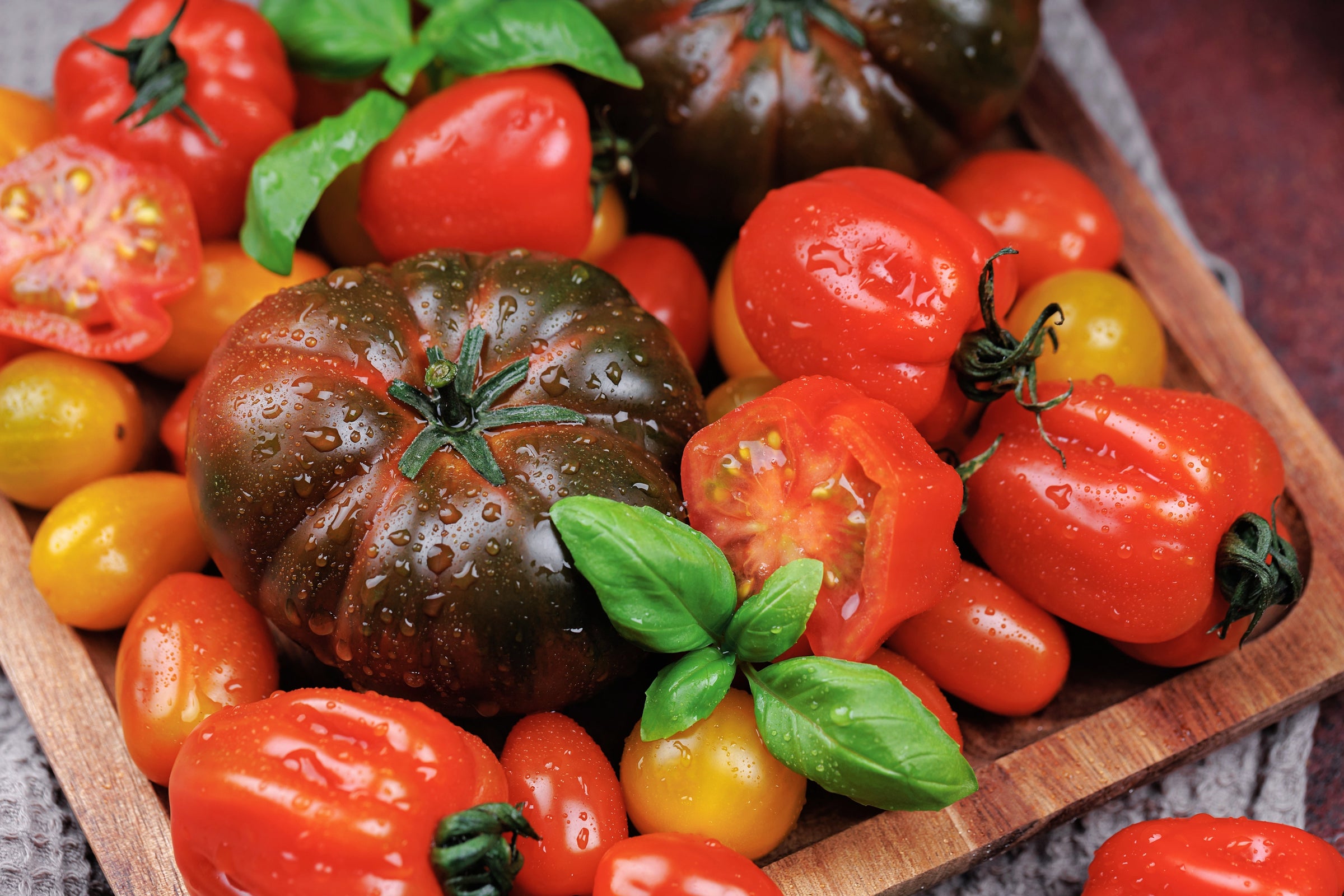 Tomates ancestrales : goût, productivité et soins — Top 10 des variétés à découvrir