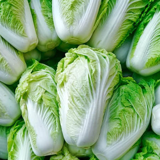 Semences Hortinova de Chou chinois Nappa 'Akeno' F1, produit destiné au potager et présenté pour identifier clairement le cultivar avant le semis. Vue 1 de l'emballage ou du produit, à utiliser comme repère visuel avec les conseils de culture, l'exposition, l'arrosage et la récolte indiqués dans la fiche française de Pépinière.ca.