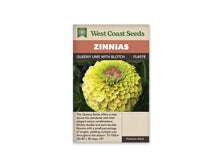 Sachet West Coast Seeds Queeny Lime with Blotch sur fond blanc. La photo montre une grande fleur vert lime à jaune pâle, formée de nombreux pétales courbés. Une couronne rose marque son centre. Le feuillage vert foncé entoure la fleur, sous le bandeau orange portant le nom du groupe de semences.