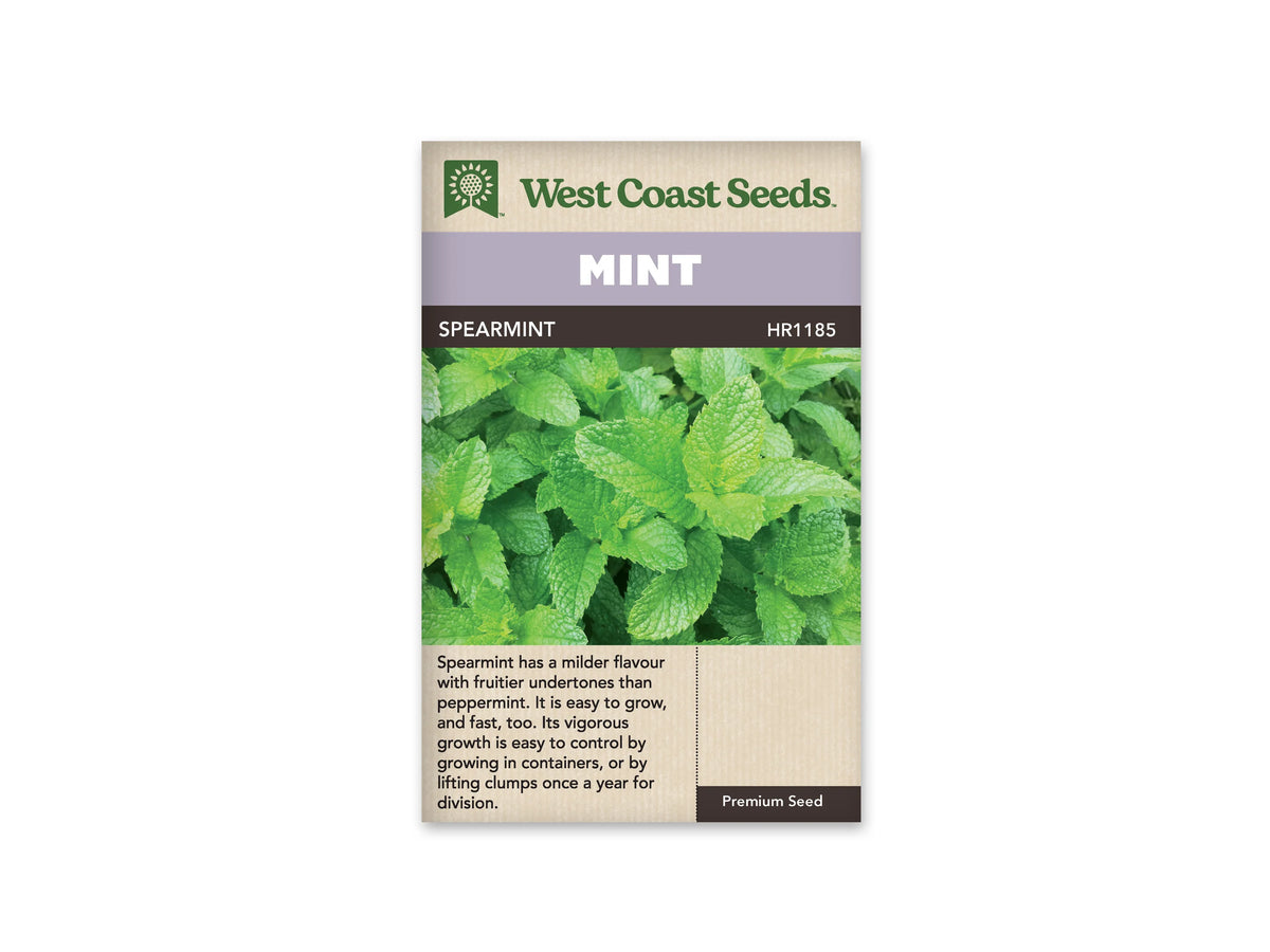 Sachet de menthe verte West Coast Seeds présenté de face sur fond blanc. La photographie montre des feuilles vert vif pointues, aux bords dentés, regroupées sur de petites tiges. Le bandeau mauve porte le mot MINT, et SPEARMINT apparaît sur la bande foncée. Une description en anglais occupe la partie beige inférieure du sachet.